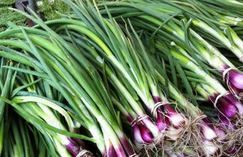 ചെറിയ ഉള്ളി വീട്ടിൽ കൃഷി ചെയ്യാം…