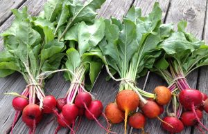 ബീറ്റ്റൂട്ടില് നിന്നും ജൈവവളം തയ്യാറാക്കാം; എല്ലാ ചെടികള്ക്കും ഉത്തമം.