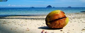 ചകിരിച്ചോറ് കൃഷിയ്ക്ക് സൂപ്പറാട്ടാ…..