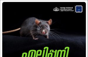 എലിപ്പനി പടര്ന്ന് പിടിക്കുന്നു… പ്രതിരോധിക്കാന് അറിഞ്ഞിരിക്കണം