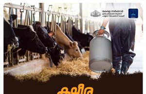 ക്ഷീര കര്ഷകര്ക്ക് ക്ഷേമ പദ്ധതികള് പ്രഖ്യാപിച്ച് സംസ്ഥാന സര്ക്കാര്