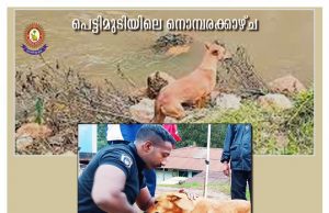 പെട്ടിമുടിയിലെ ദുരന്തത്തില് നിന്നും രണ്ടും വയസ്സുകാരിയെ കണ്ടെത്തിയ ‘കുവി’ ഇനി കേരള പോലീസ് ഡോഗ് സ്കോഡിലേക്ക്