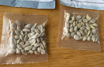 ഉറവിടം അറിയാത്ത വിത്ത് പാക്കറ്റുകള് എത്തുന്നു: കര്ഷകര് ശ്രദ്ധിക്കുക