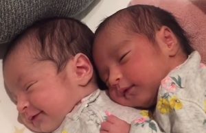 ഇതെന്താ ടെലിപതിയോ…! ഒന്നിച്ച് ഉറങ്ങുകയും ഉറക്കത്തില് പോലും ഒന്നിച്ച് പുഞ്ചിരിക്കുകയും ചെയ്യുന്ന രണ്ട് സുന്ദരി വാവകളെ കാണാം…