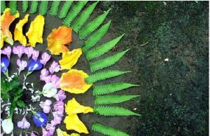 അത്തം മുതല് തിരുവോണം വരെ പൂക്കണം ഇടേണ്ടത് എങ്ങനെയാണ്…