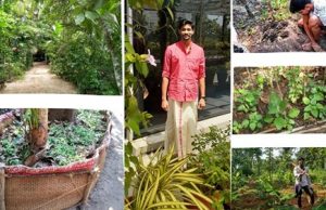 ഇത് വെറും കാടല്ല, ‘അന്നവനം’ എന്ന് വേണം വിളിയ്ക്കാന്