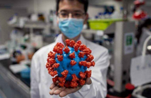 ഡെങ്കിപ്പനി വന്നവര്ക്ക് കോവിഡിനെ പ്രതിരോധിക്കാന് കഴിയും: പുതിയ കണ്ടെത്തല്