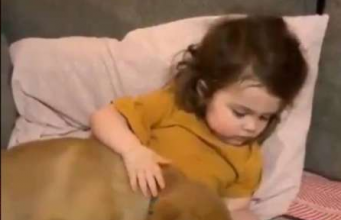 നായ്ക്കുട്ടിയെ തലോടി വീഡിയോ കണ്ടാസ്വദിച്ച് കുരുന്ന്: രസകരമായ വീഡിയോ