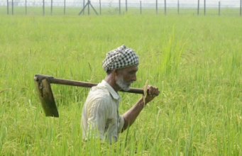 60 വയസ് പിന്നിട്ട കര്ഷകര്ക്ക് പെന്ഷന്, ക്ഷേമ ബോര്ഡ് സംബന്ധിച്ച കരട് ചട്ടങ്ങള് തയ്യാറായി: വിശദവിവരങ്ങളറിയാം
