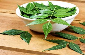 ചില്ലറക്കാരനല്ല ആര്യവേപ്പ്; ആര്യവേപ്പിലയുടെ ഈ ഗുണങ്ങള് അറിയാതെ പോകരുത്