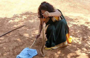 കല്യാണത്തിന് പോകാന് സാരിയുടുത്തിറങ്ങിയപ്പോള് ഒരു കോള് വന്നു: യുവതി പാമ്പിനെ പിടിക്കാനിറങ്ങി, വീഡിയോ