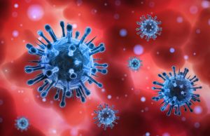 ഇന്ത്യയില് കൊറോണ വൈറസിന് കാര്യമായ ജനിതക മാറ്റമില്ലെന്ന് പഠനം