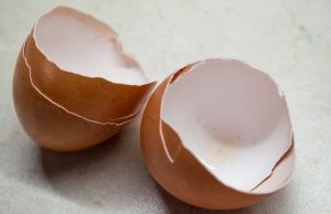 ചെടികളെ ആക്രമിക്കുന്ന കീടങ്ങളെ അകറ്റാന് മുട്ടത്തോട് ഇങ്ങനെ ഉപയോഗിക്കാം