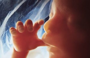 ഗര്ഭസ്ഥശിശുക്കളുടെ പ്ലാസന്റയില് ചെറിയ പ്ലാസ്റ്റിക് കഷ്ണങ്ങള്; ഉത്കണ്ഠ.!!