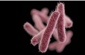 കിണര് വെള്ളത്തില് ഷിഗെല്ലയ്ക്ക് സമാനമായ ബാക്ടീരിയ; ജനങ്ങള് അതീവ ജാഗ്രത പാലിക്കണമെന്ന് ആരോഗ്യവകുപ്പ്