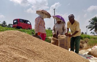 ഇനി വന്യമൃഗങ്ങള് കൃഷി നശിപ്പിച്ചാല് വിള ഇന്ഷുറന്സ് പരിരക്ഷ ലഭിക്കും