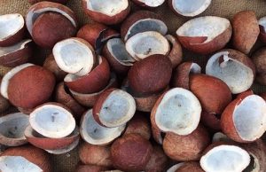 കൊപ്ര കര്ഷകര്ക്ക് ആശ്വാസമായി താങ്ങുവില കൂട്ടി സര്ക്കാര്: ഒരു കിന്റല് കൊപ്രക്ക് 10, 335 രൂപ