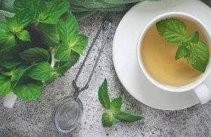 കുടിക്കുന്ന വെള്ളത്തില് അല്പം പുതിനയില ചേര്ത്ത് നോക്കൂ; ഗുണങ്ങളേറെ