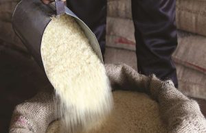 എല്ലാ കാര്ഡുടമകള്ക്കും മണ്ണെണ്ണ; നീല, വെള്ള കാര്ഡുകാര്ക്ക് ഇത്തവണ സ്പെഷല് അരി ഇല്ല