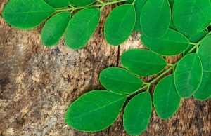 പ്രമേഹമുള്ളവര് മുരിങ്ങയില കഴിക്കണം!: എന്തുകൊണ്ട്