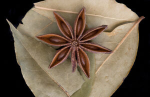 വിഷാദവും ഉത്കണ്ഠയും വിടാതെ പിന്തുടരുന്നുണ്ടോ?; ഈ പാനീയം നിങ്ങളെ സഹായിക്കും