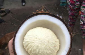 തെങ്ങിന് പൊങ്ങില് നിന്ന് ജ്യൂസ്, പ്രോട്ടീന് പൗഡര്; പരീക്ഷണത്തിനൊരുങ്ങി നാളികേര വികസന ബോര്ഡ്