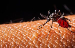 ഡെങ്കിപ്പനി; തുടക്കത്തില് തന്നെ കണ്ടെത്തി പ്രതിരോധിക്കാം, അപകടം ഒഴിവാക്കാം