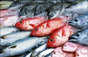 മെസേജ് അയച്ചാല് മീന് വീട്ടിലെത്തിക്കാനൊരുങ്ങി മത്സ്യഫെഡ്