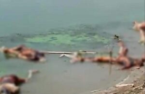 മൃതദേഹങ്ങള് നദികളില്; വെള്ളത്തിലൂടെ കോവിഡ് പടരുമോയെന്ന് ആശങ്ക