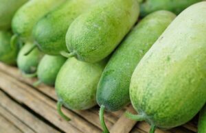 കുമ്പളങ്ങ നിസാരക്കാരനല്ല; ആരോഗ്യഗുണങ്ങള് അറിഞ്ഞ് കഴിക്കാം