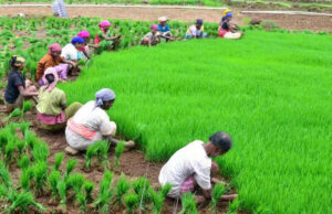 കര്ഷകര്ക്ക് വേണ്ടി പ്രത്യേക പെന്ഷന് പദ്ധതികള്; അപേക്ഷിക്കാം