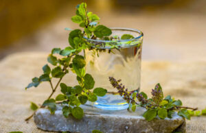 ദിവസവും തുളസിയിലയിട്ട് തിളപ്പിച്ച വെള്ളം കുടിക്കൂ; ഗുണങ്ങള് പലതാണ്