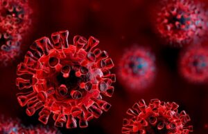 വരുന്ന നാലാഴ്ച ഏറെ നിര്ണായകം; സംസ്ഥാനം ഡെല്റ്റ വൈറസിന്റെ ഭീഷണിയില്