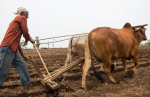 കര്ഷകര്ക്ക് ആശ്വാസം; 5000 രൂപവരെ പെൻഷനും ആനുകൂല്യങ്ങളും