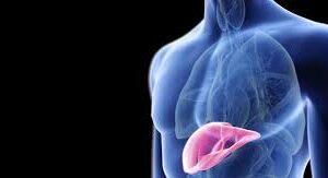 ഈ ഭക്ഷണങ്ങള് കഴിച്ചാല് ഫാറ്റി ലിവര് രോഗസാധ്യത കുറയ്ക്കാന് കഴിയുമെന്ന് പഠനം