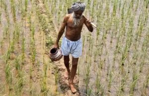 അഞ്ച് സെന്റില് കുറയാതെ ഭൂമിയുള്ള കര്ഷകനാണെങ്കില് പെന്ഷന്; 5000 രൂപ വരെ വാങ്ങാം