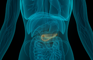 പാന്ക്രിയാറ്റിക് കാന്സര് തിരിച്ചറിയാം ചില ലക്ഷണങ്ങളിലൂടെ