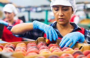 18 വയസ് പൂര്ത്തിയായാല് വായ്പയും പത്ത് ലക്ഷം രൂപ സബ്സിഡിയും