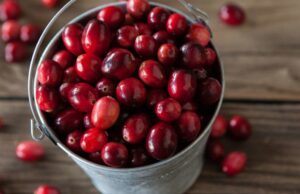 ദിവസവും 100 ഗ്രാം ലൂബിക്ക കഴിക്കൂ; ഹൃദയാരോഗ്യം മെച്ചപ്പെടും