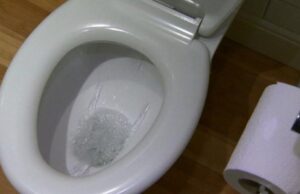 ടോയ്ലെറ്റ് സീറ്റില് നിന്ന് യൂറിനറി ഇന്ഫക്ഷന്?; മൂത്രാശയ അണുബാധ; ശ്രദ്ധിക്കേണ്ടത്