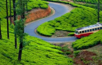 കാടേറാൻ കൂട്ടായി ആനവണ്ടിയും