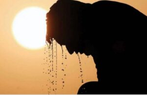 വേനലിൽ വാടാതിരിക്കാൻ