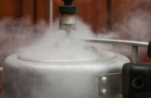 പ്രഷർ കുക്കർ ‘ബോംബ്’ ആയി മാറാതിരിക്കാൻ ശ്രദ്ധിക്കേണ്ടത്