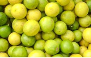 ചെറുനാരങ്ങ വില കുതിക്കുന്നു. നാരങ്ങ വെള്ളവും ഇനി ലക്ഷ്വറി?