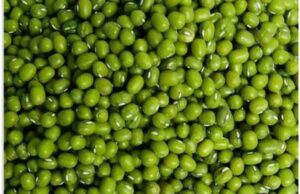 ചെറുപയറിന്റെ ഗുണങ്ങൾ ചെറുതല്ല