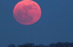 ‘പിങ്ക് മൂൺ’ കണ്ടിട്ടുണ്ടോ?