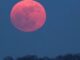 ‘പിങ്ക് മൂൺ’ കണ്ടിട്ടുണ്ടോ?