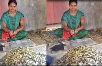 തൃശൂർ പൂരത്തിന് വെടിക്കെട്ട് ഒരുക്കാൻ ഇത്തവണ പെൺക്കരുത്ത്