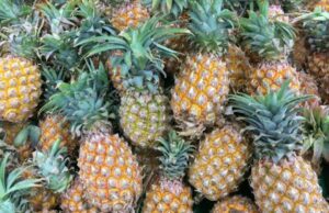 ശരീരഭാരം കുറക്കാൻ ആഗ്രഹിക്കുന്നുവോ? കഴിക്കൂ പൈനാപ്പിൾ