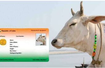 മൃഗങ്ങൾക്കും തിരിച്ചറിയൽ കാർഡ്